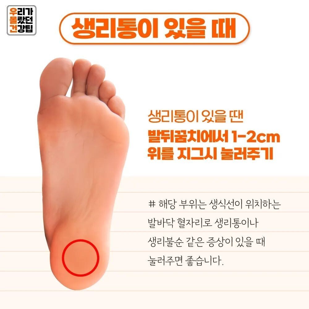 발지압 하나로 전신관리법! - ♣ㅡㅡㅡ척추,관절,정보♣ - 감자바우 산약초