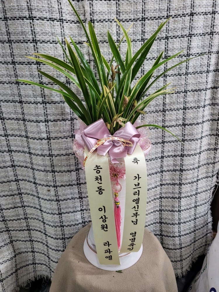 강*호 이미지