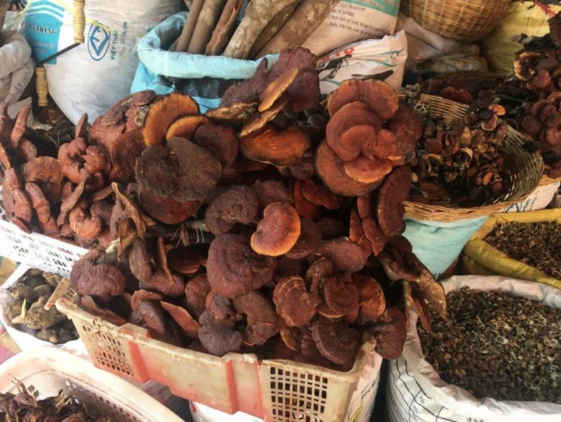 삼만리 이미지