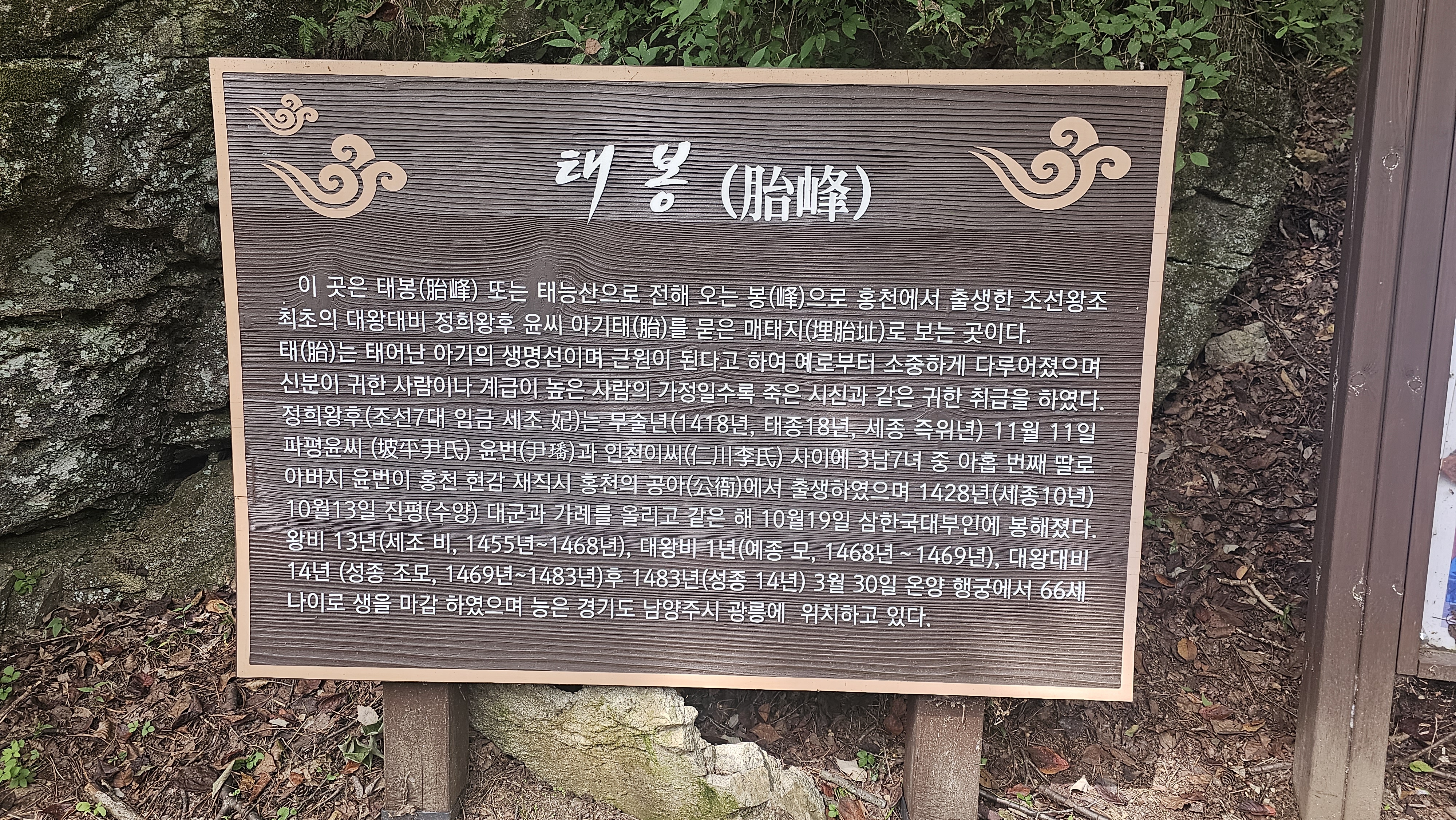 강원산소 이미지