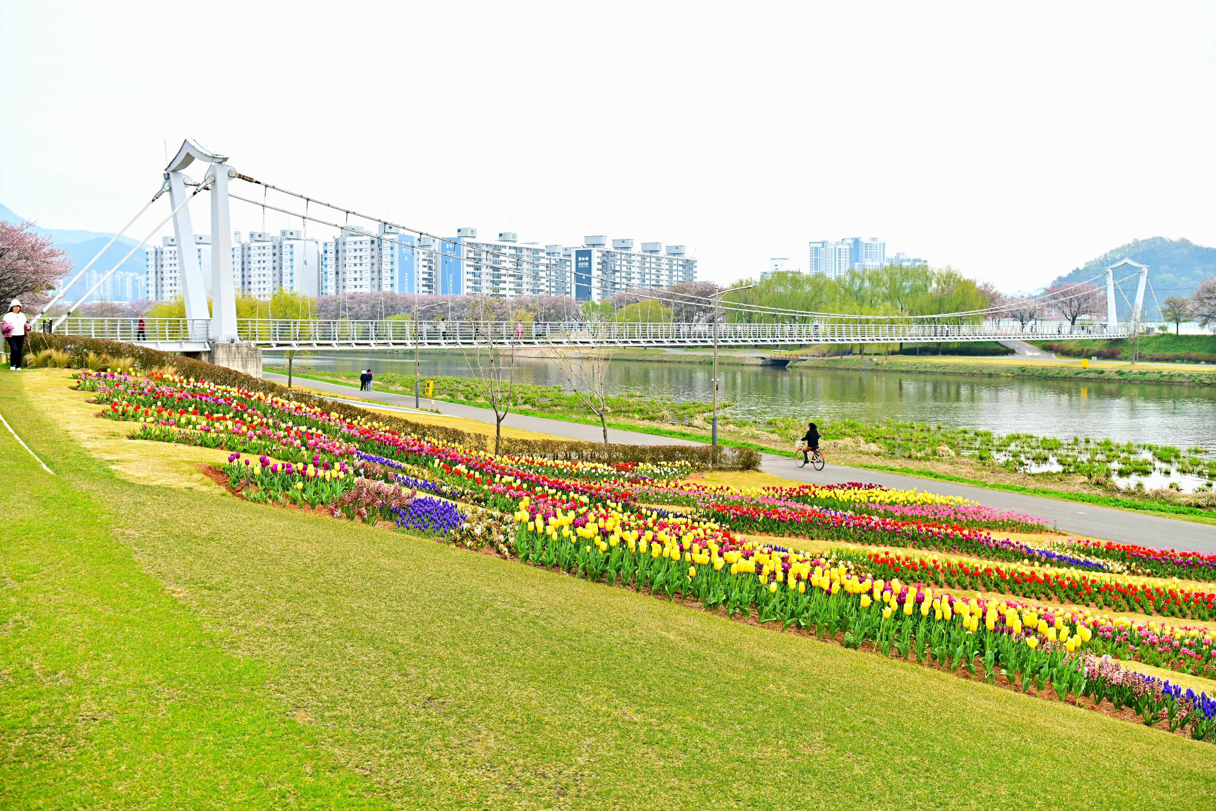 호수정원 이미지