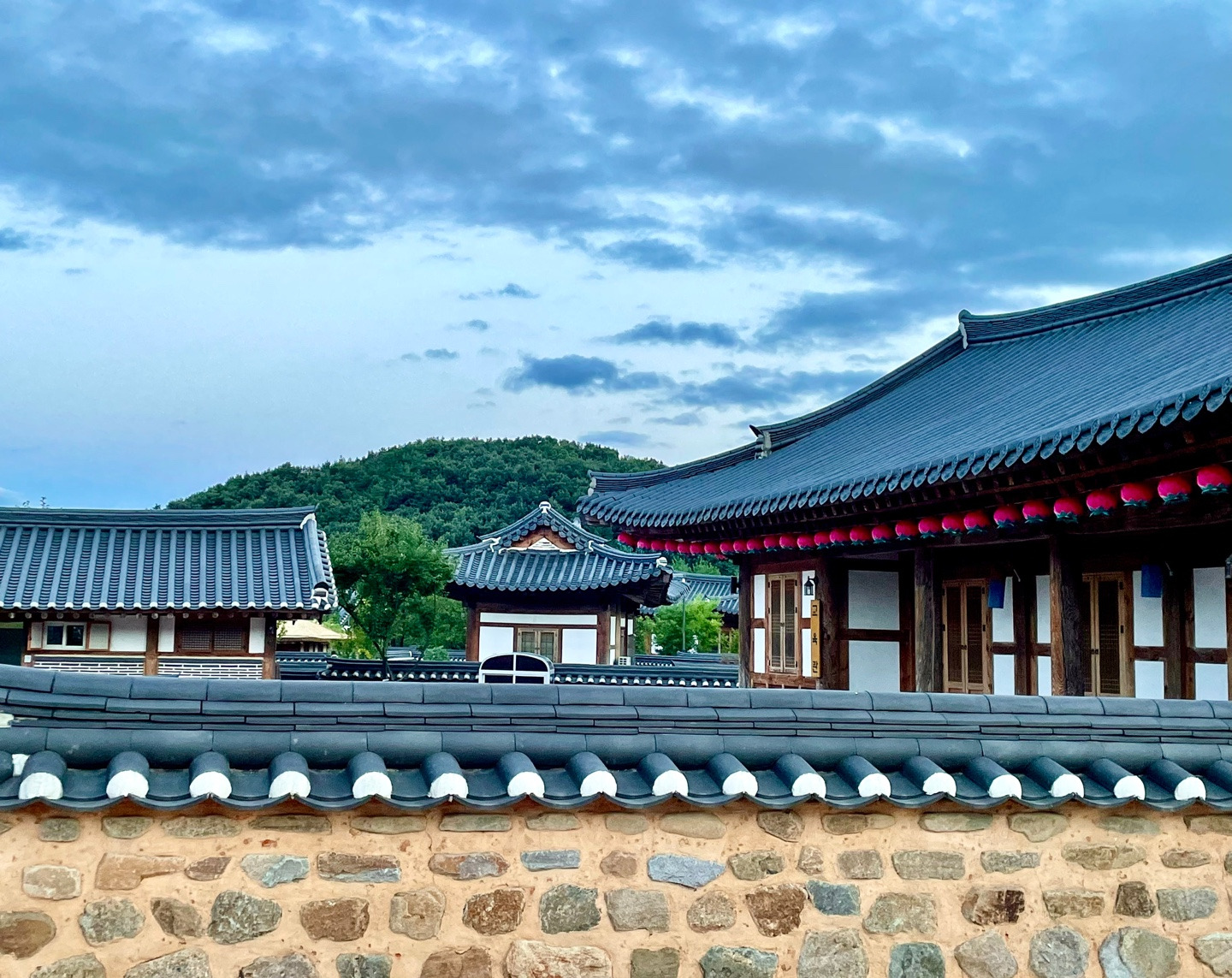 담 이미지