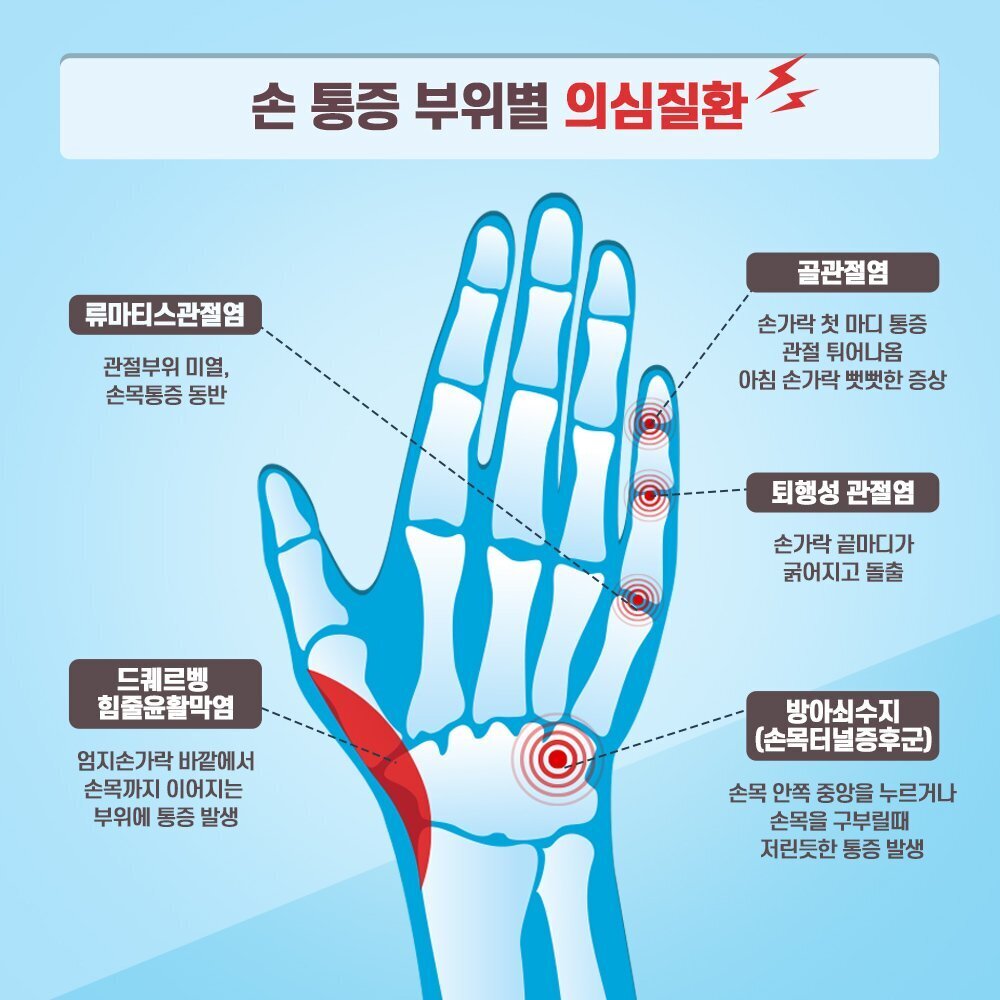 Daum 카페