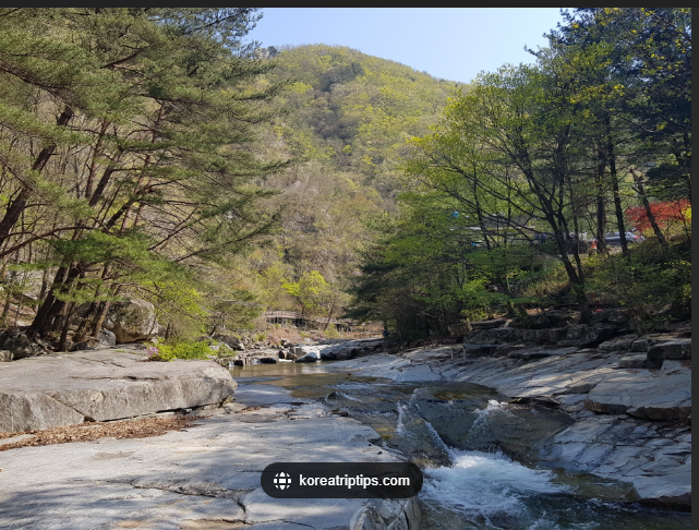 빛고을세탁 이미지