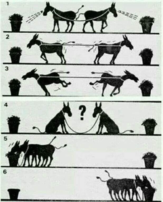 좋은선택 이미지