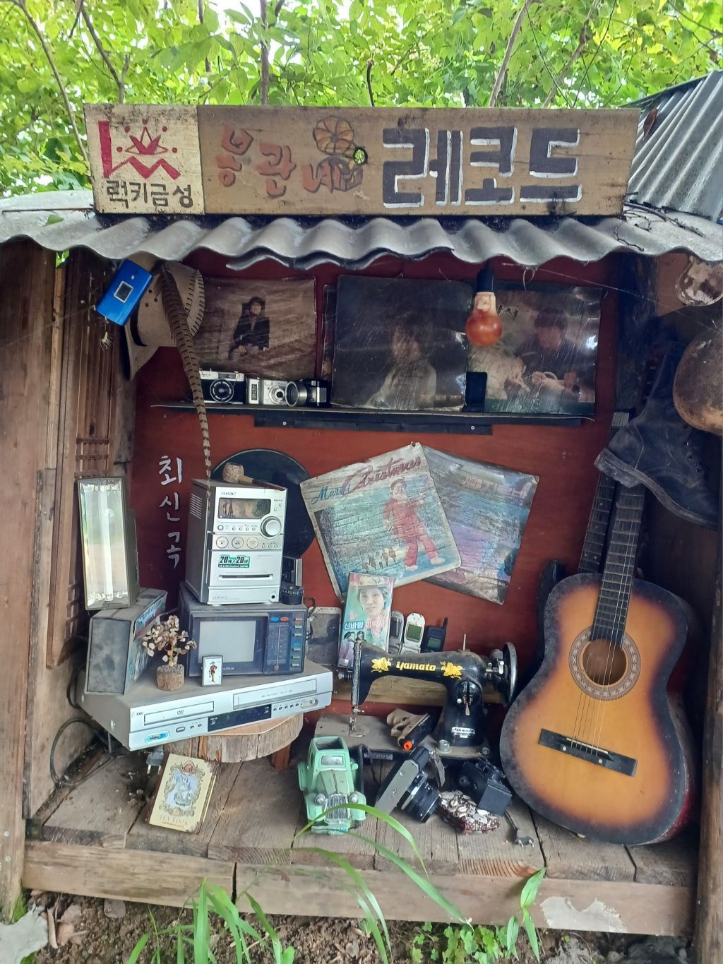시대티브이 이미지