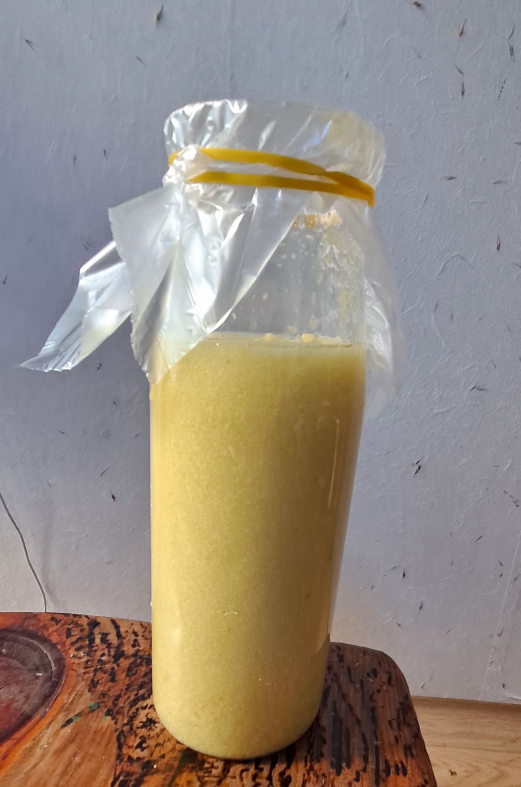 맛술 이미지