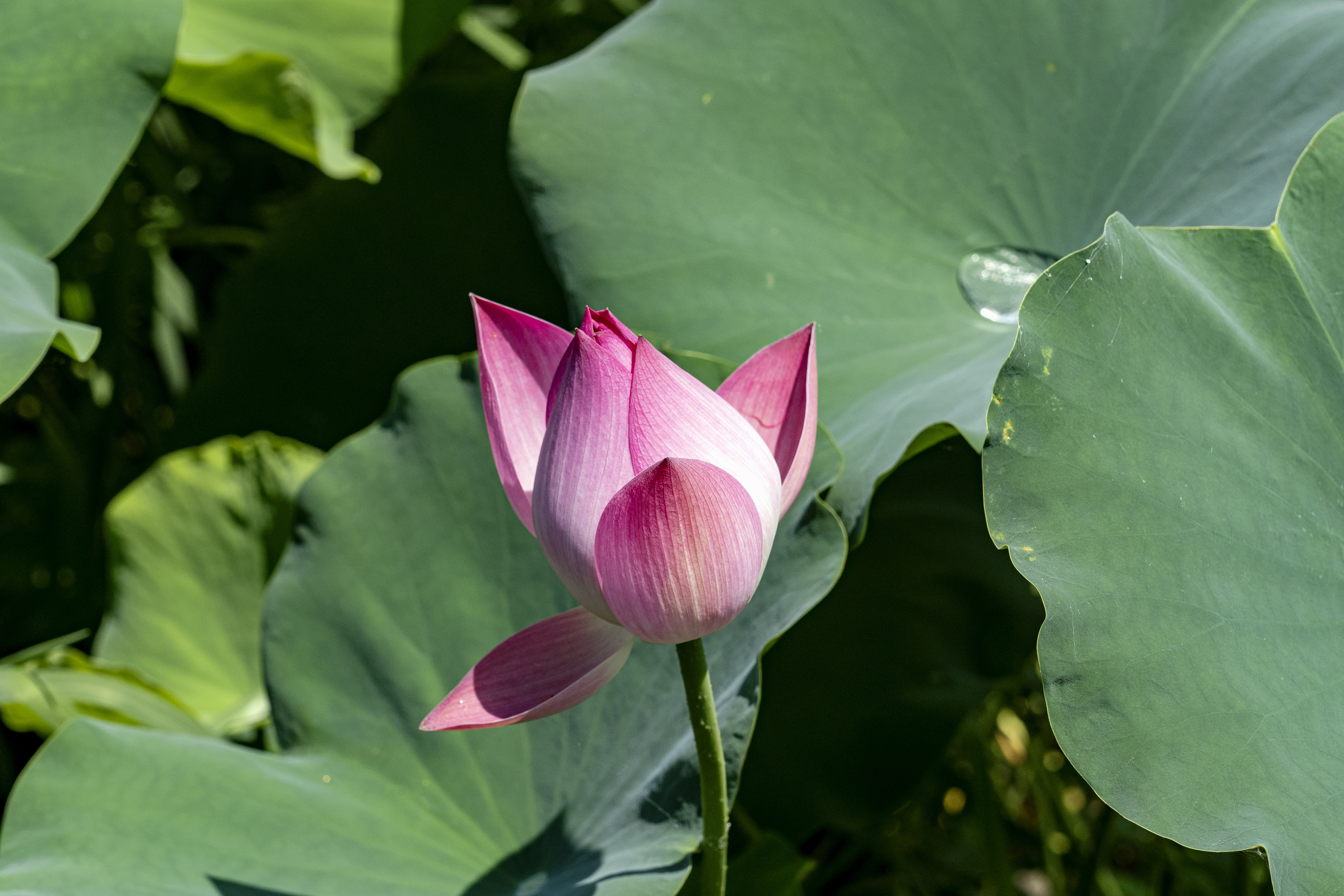 세종마당 이미지