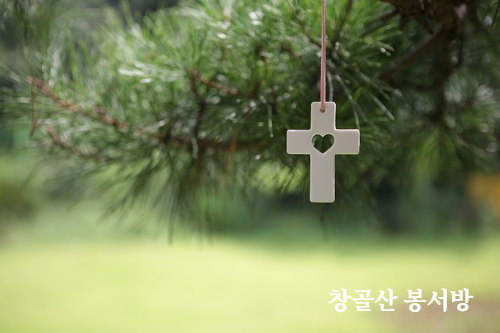 아나스타시스 이미지