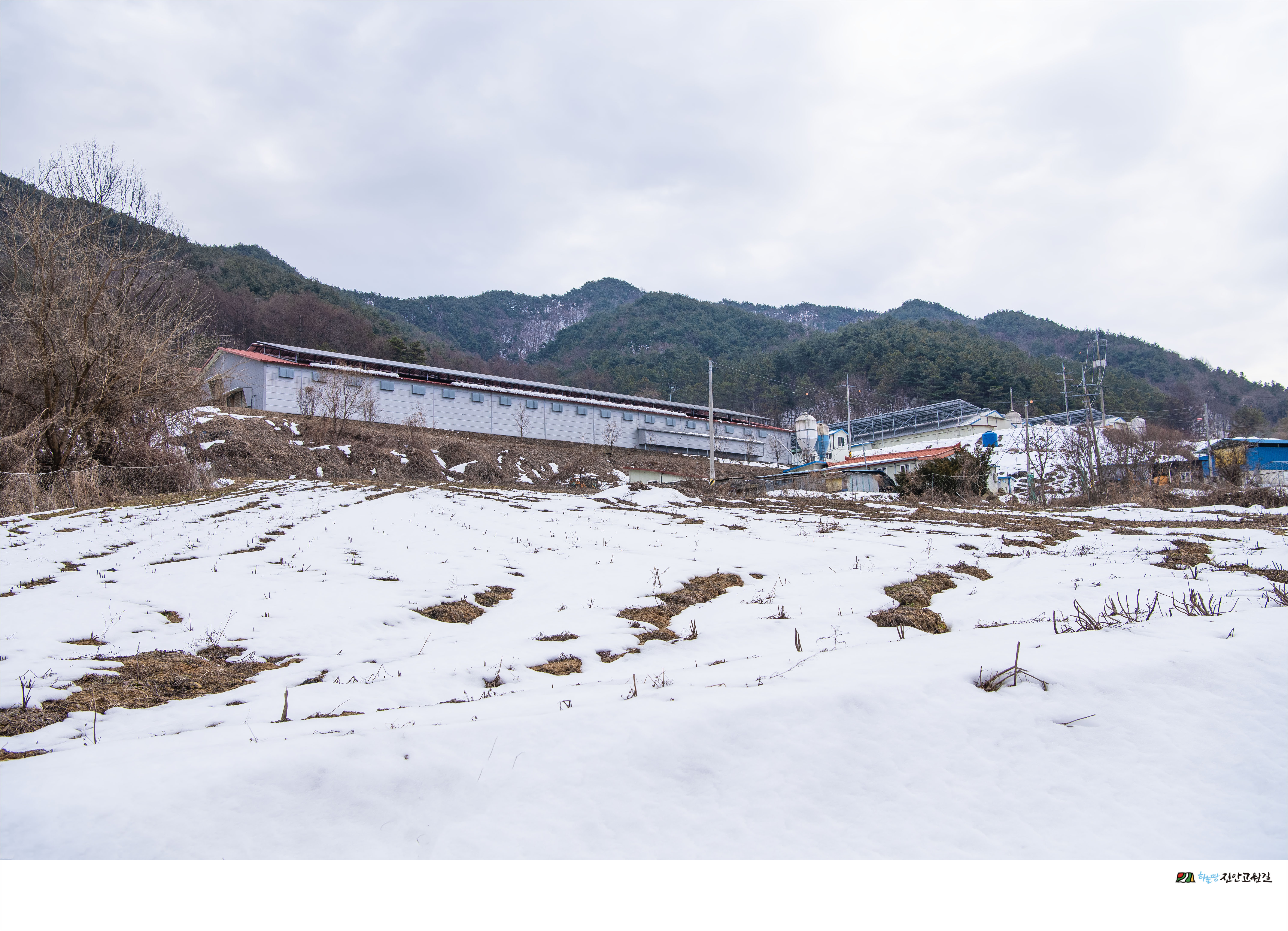 도원축산 이미지