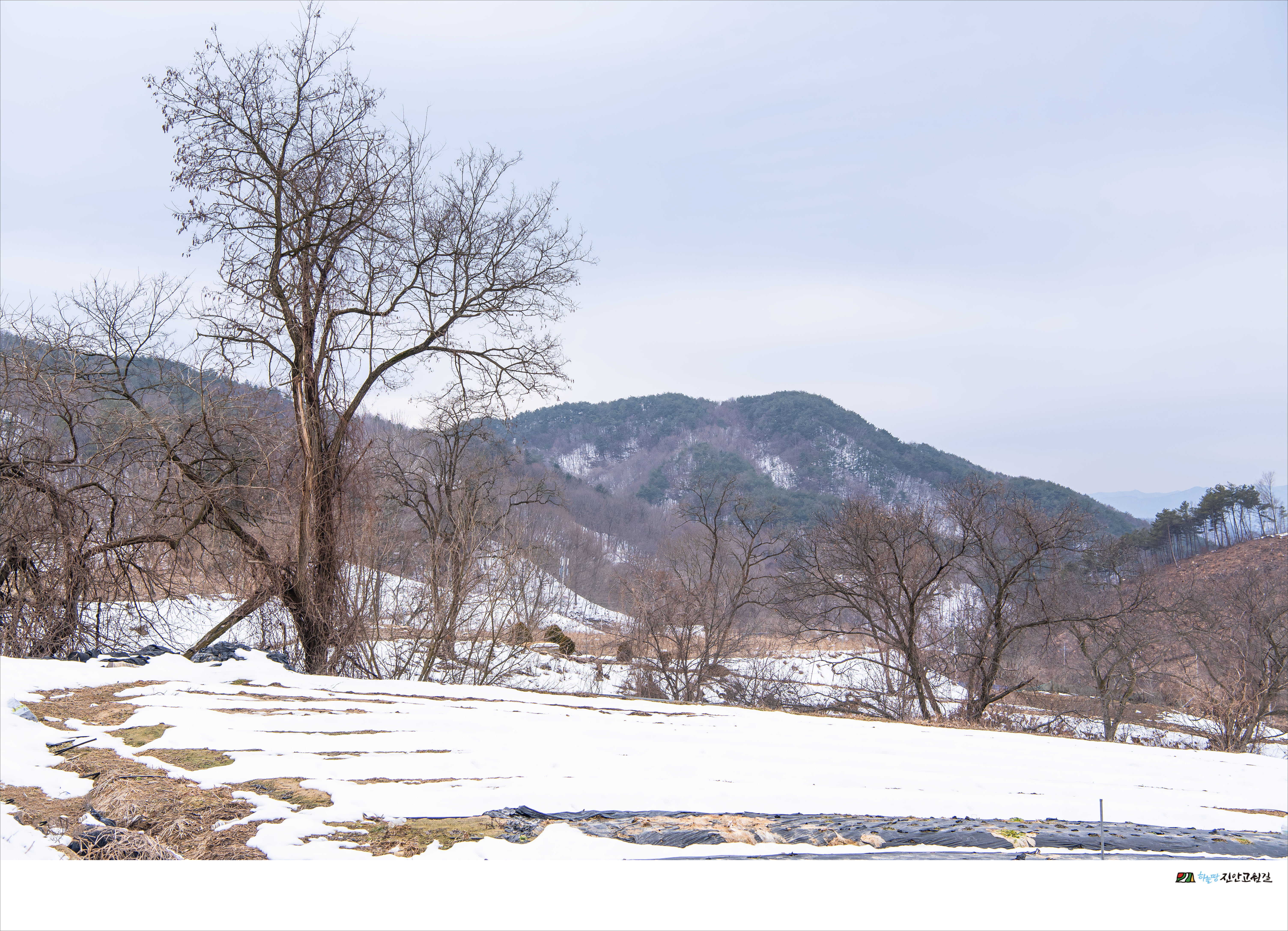 도원축산 이미지