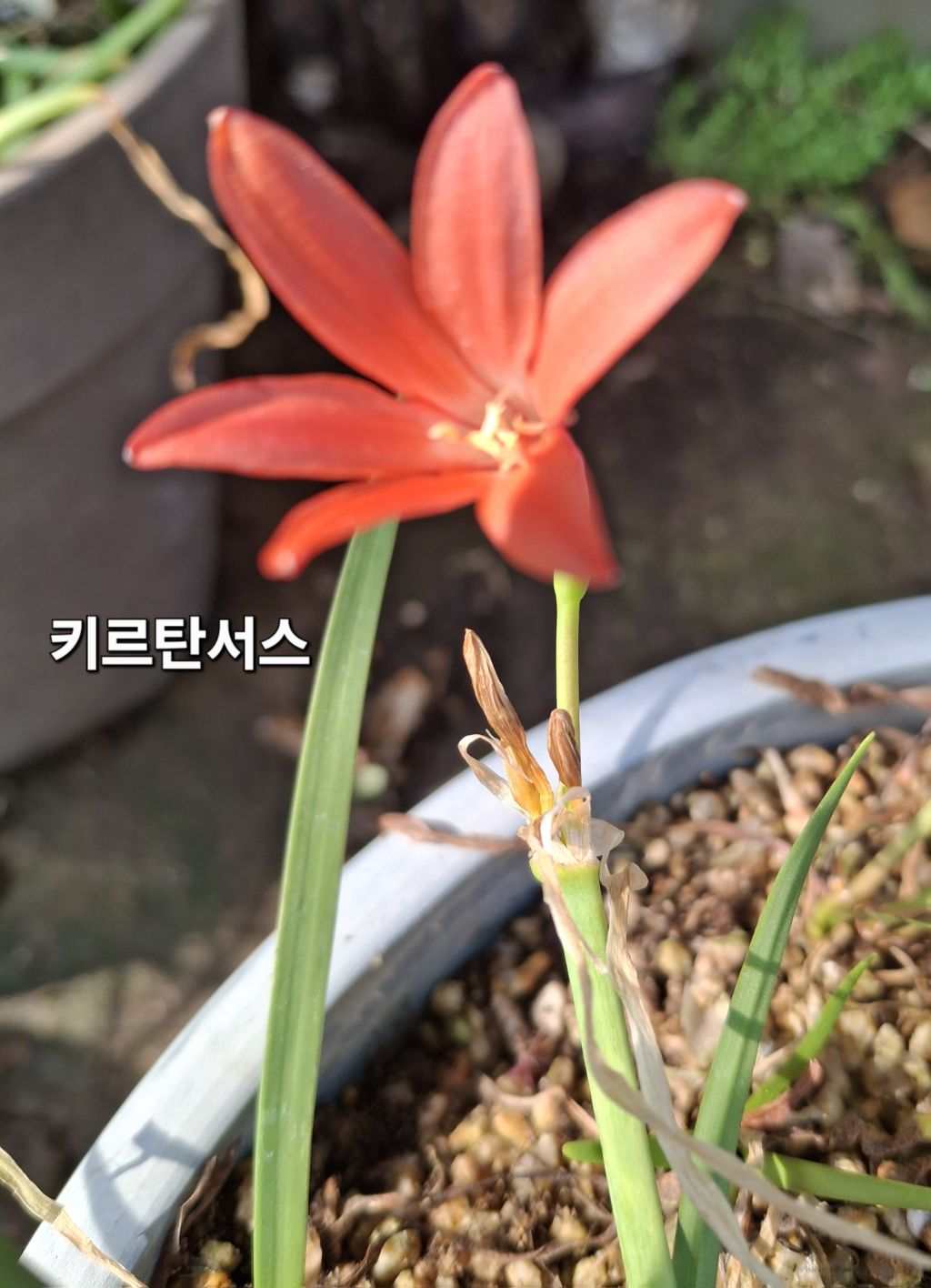 주황 이미지