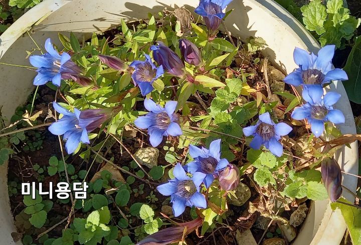 용담하우스 이미지