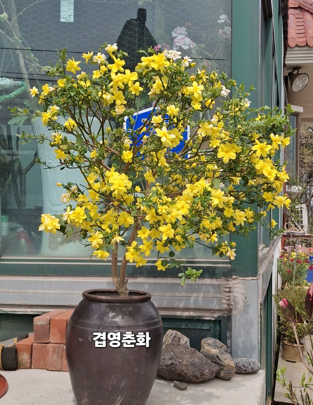 금자씨네 이미지