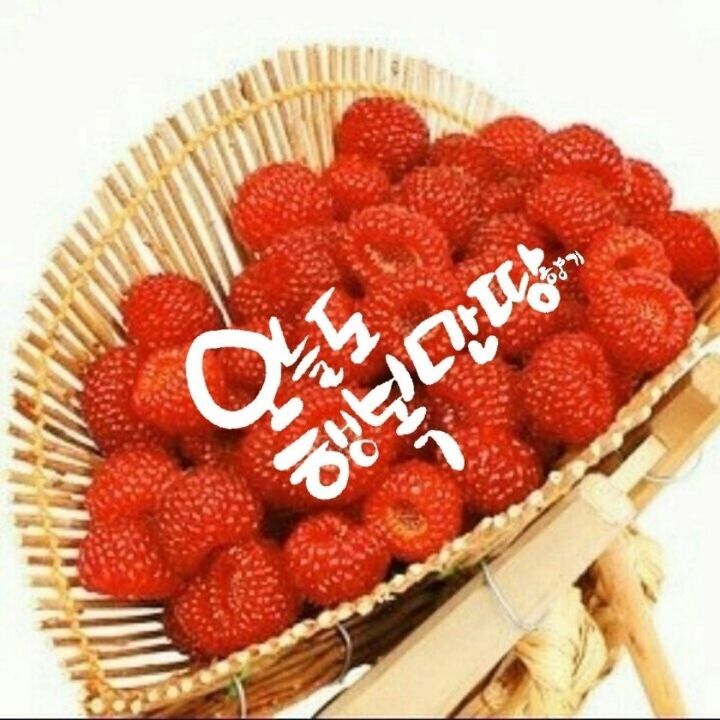 빵심이네 이미지