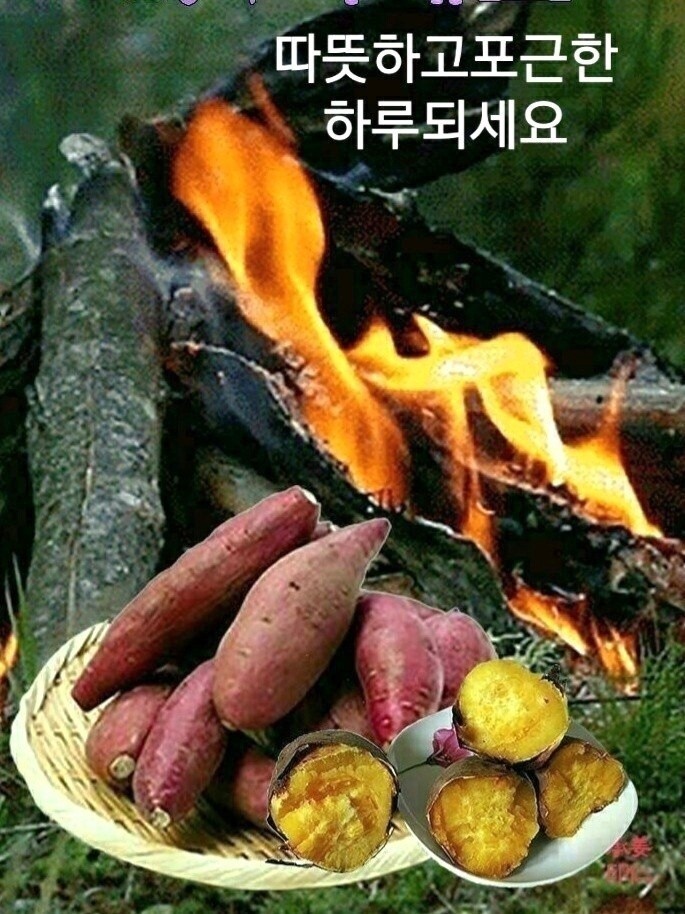 빵심이네 이미지