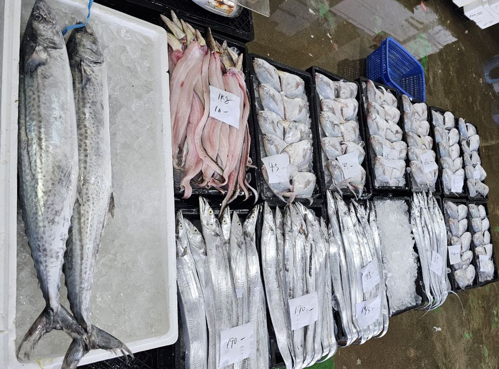나로도삼치수산 이미지