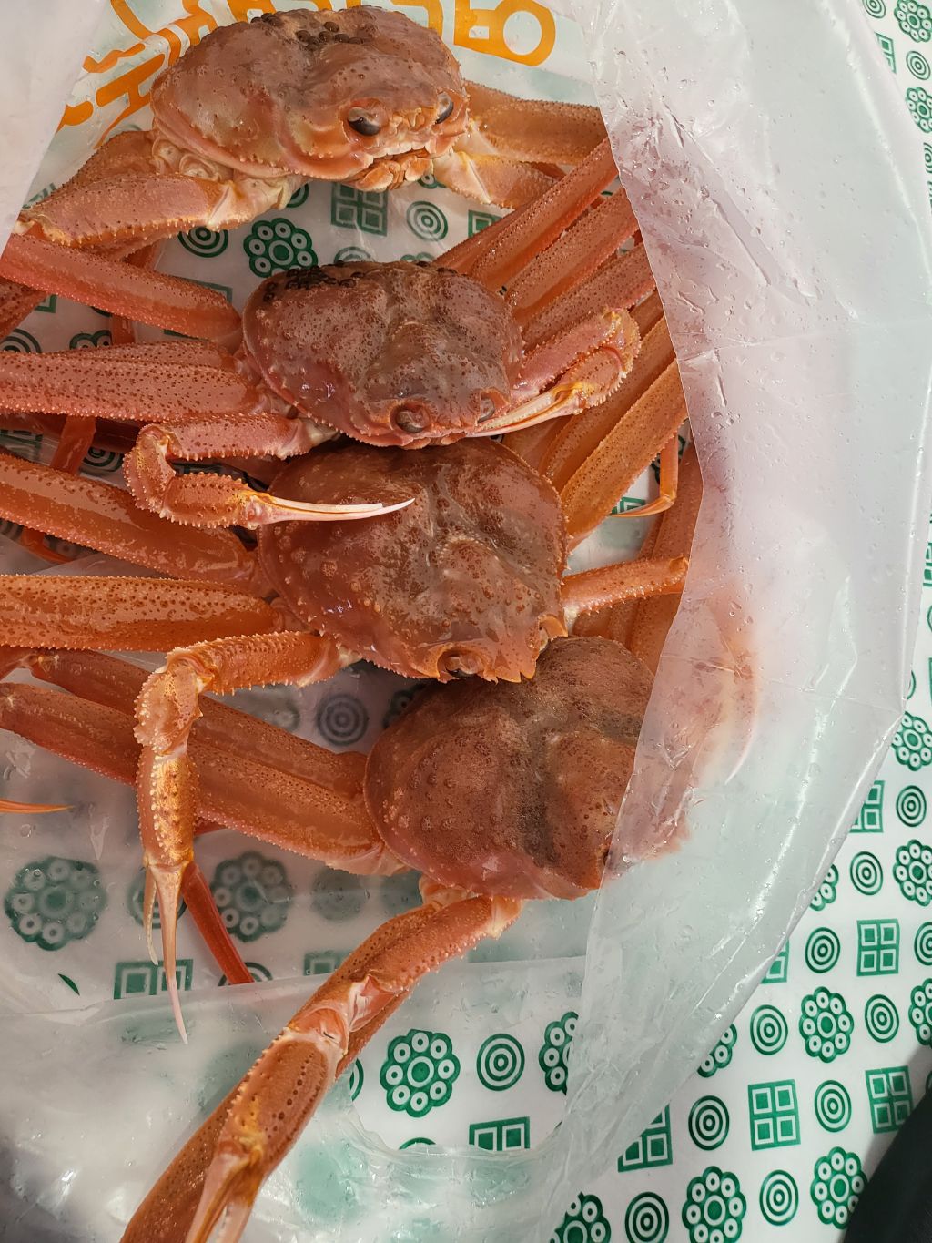 영덕대게 이미지