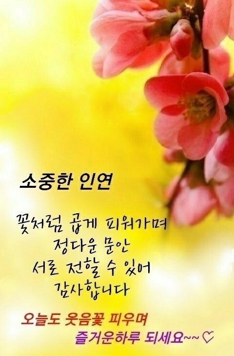 행복한하루 이미지