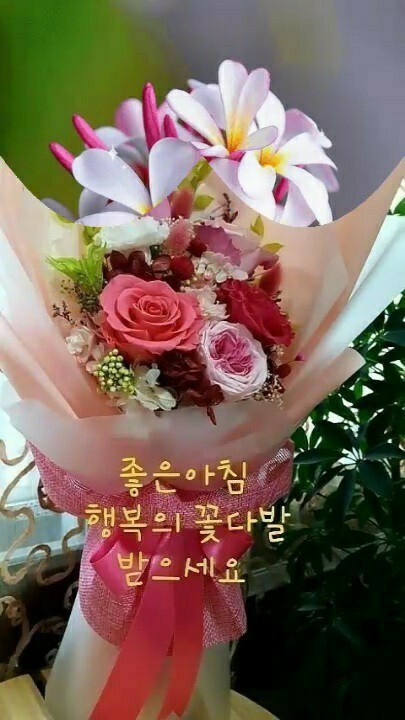 (주)작은사랑작은행복 이미지