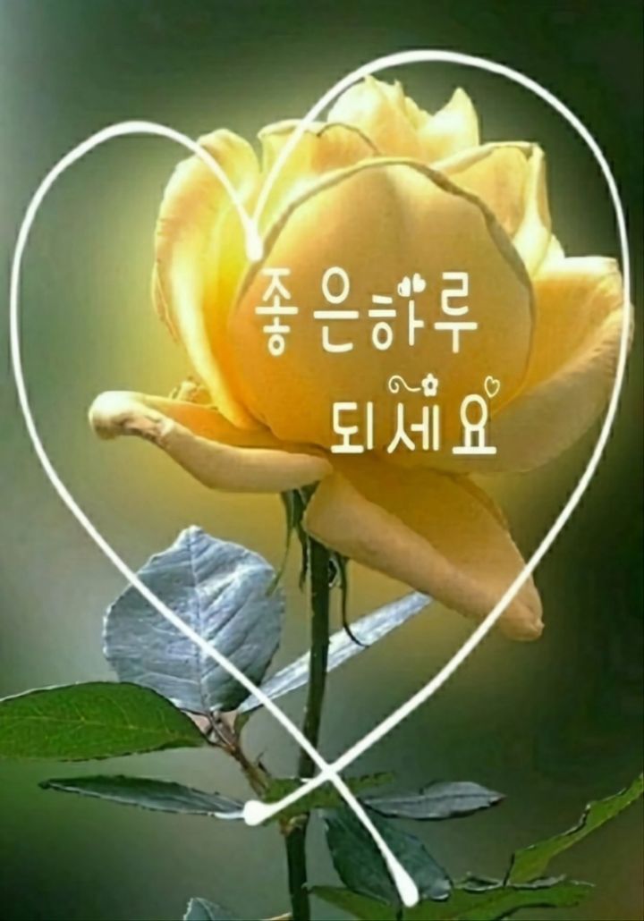 빵심이네 이미지