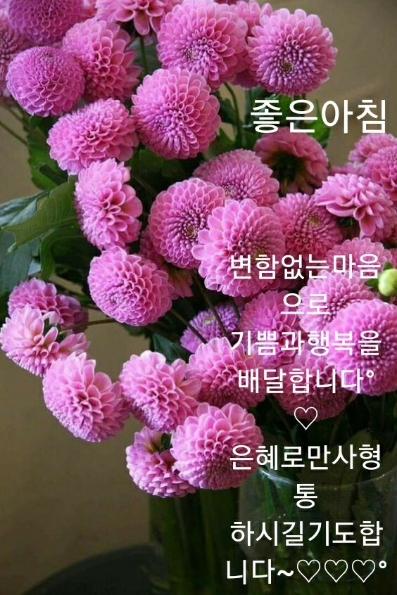 우리방 이미지