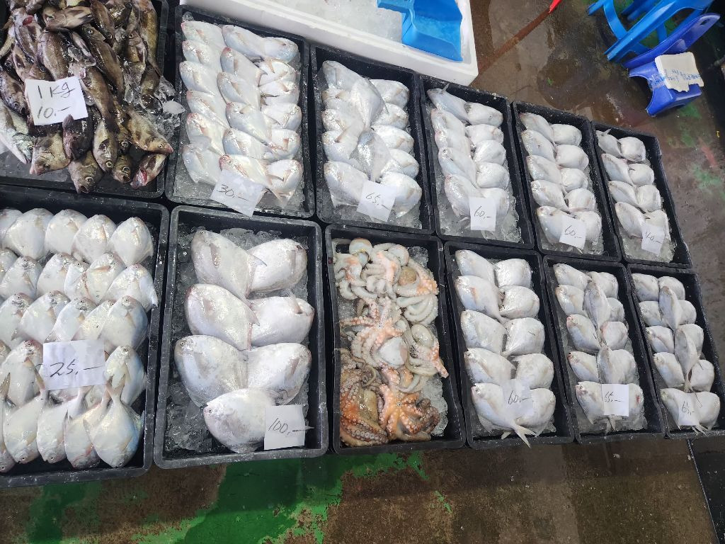 나로도수산 이미지