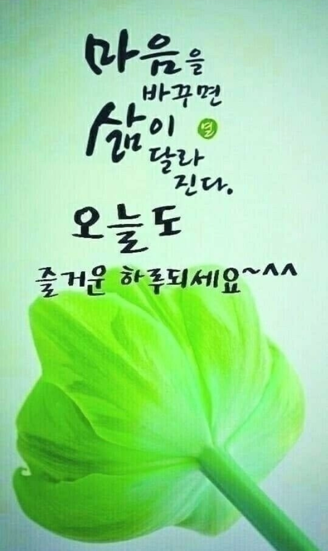 하루하루좋은집 이미지