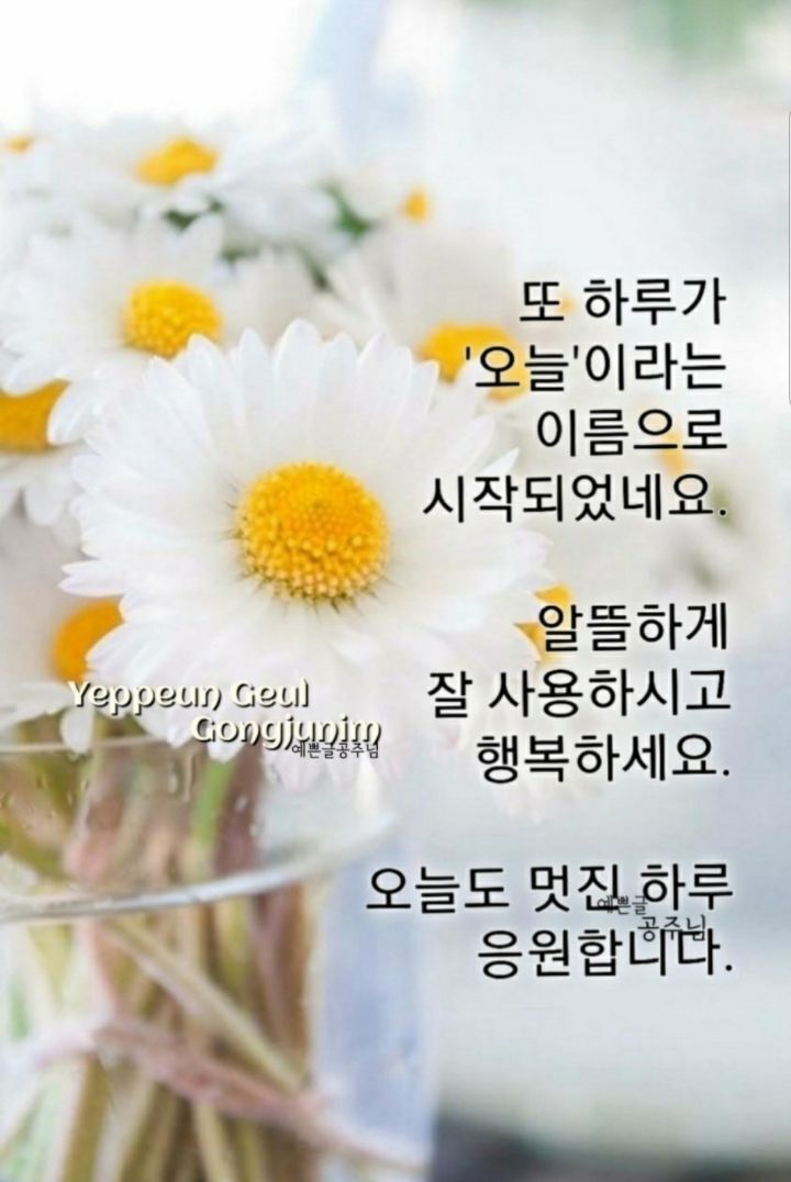 행복한하루 이미지
