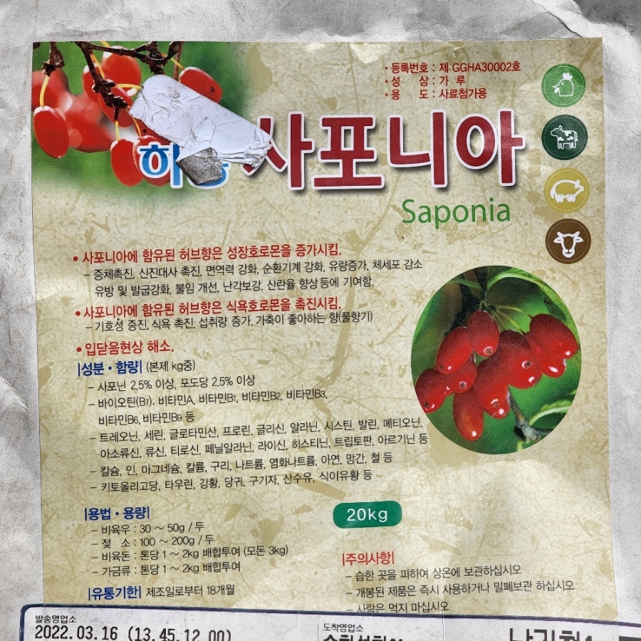 쥬블리 이미지