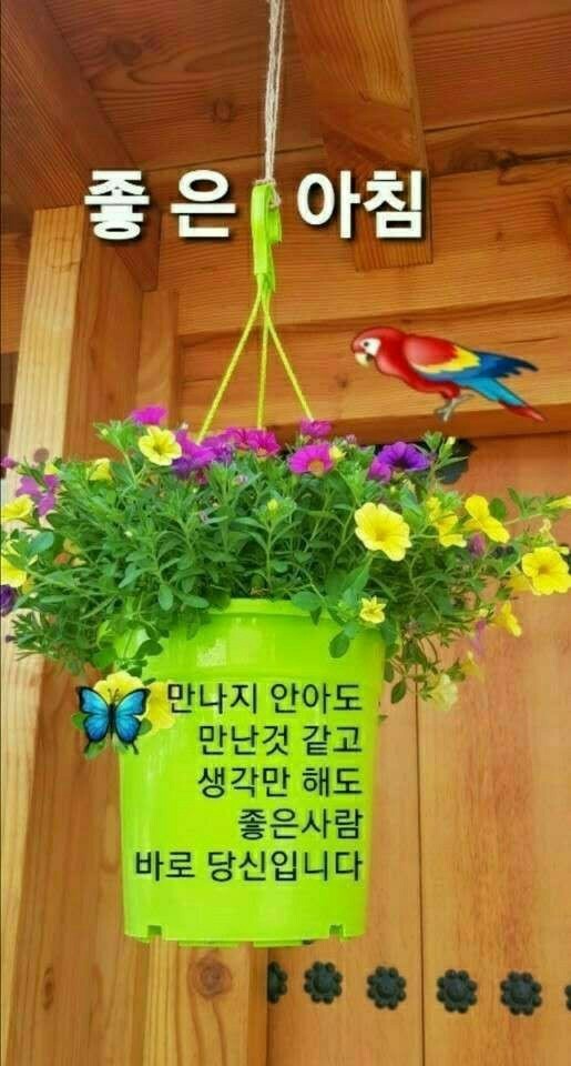 빵심이네 이미지