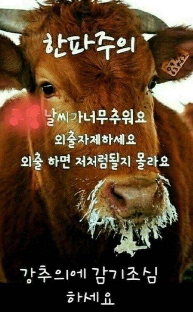 외양간 이미지