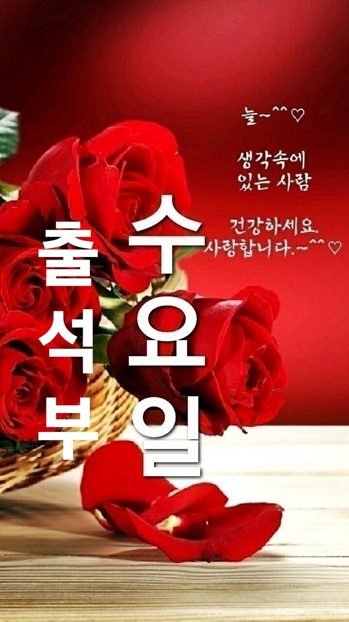 Daum 카페