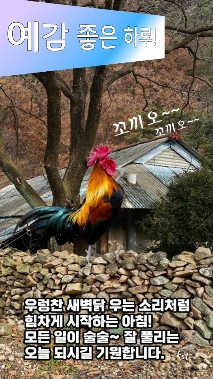 빵심이네 이미지