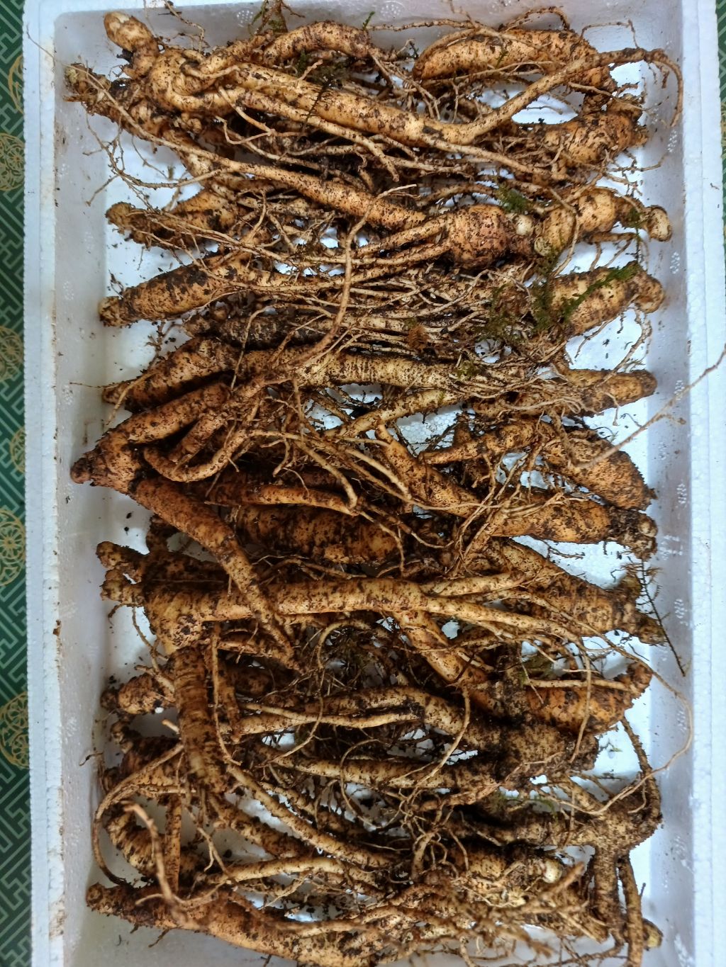 황산골 이미지