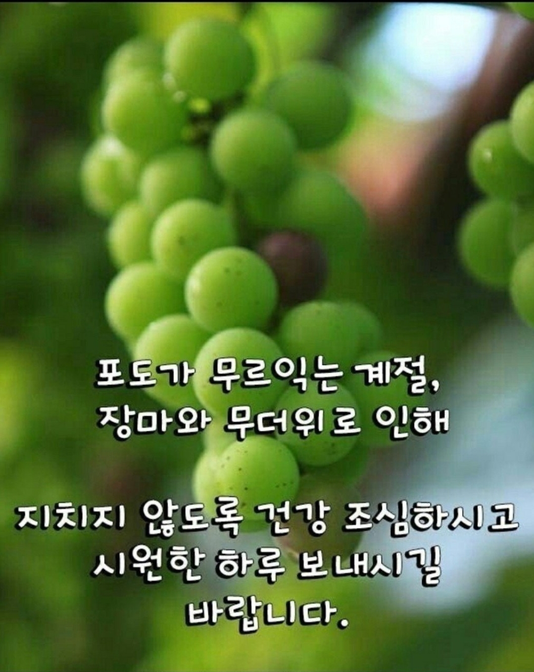 행복한하루 이미지