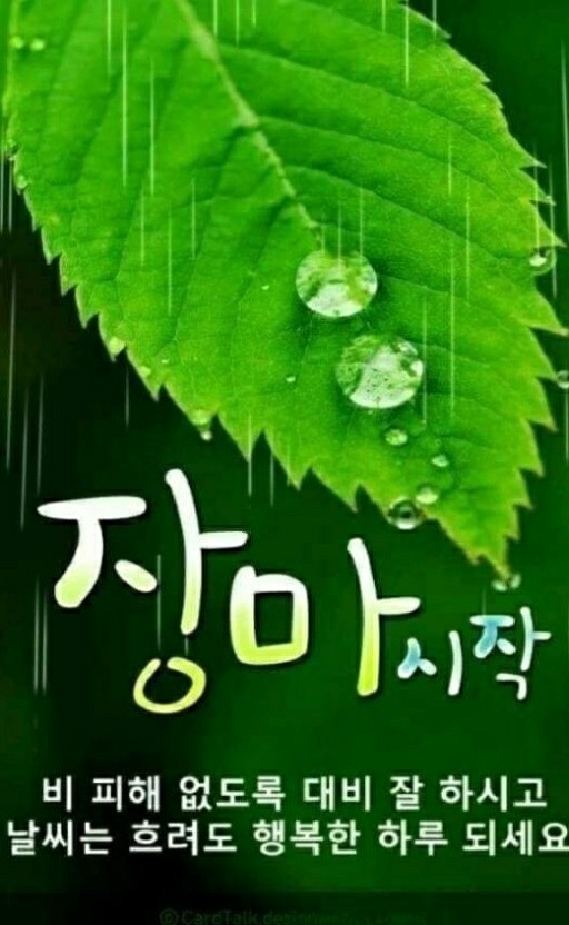 빵심이네 이미지