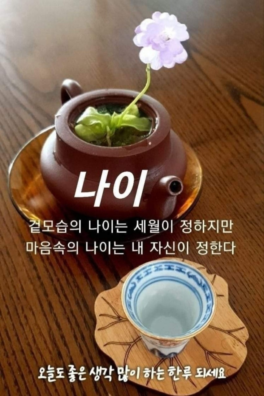 빵심이네 이미지