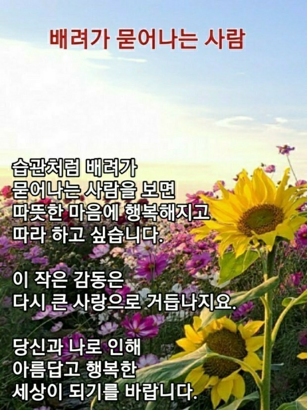 행복한하루 이미지