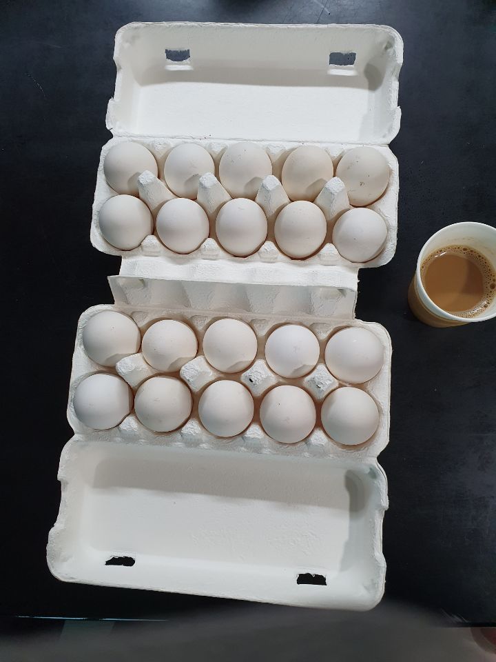 와야또랑 이미지