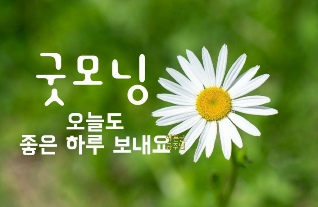 빵심이네 이미지