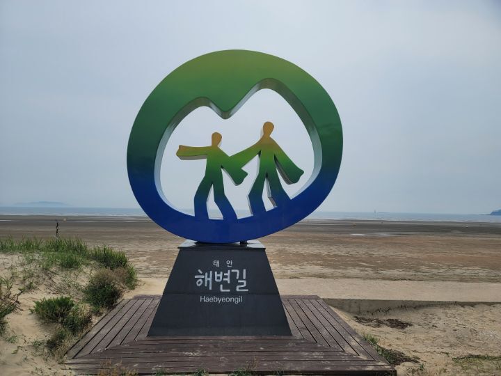 충남야채 이미지