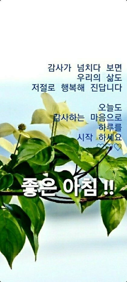 빵심이네 이미지