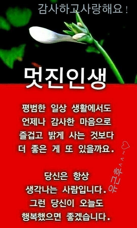 해피데이 이미지