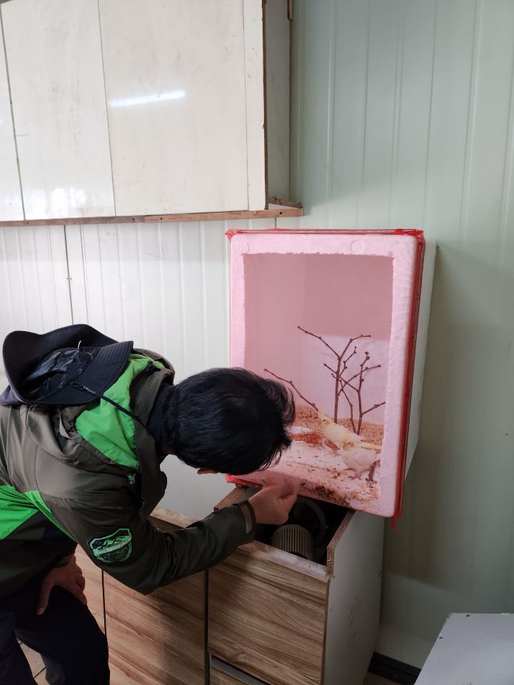 천년의빛농장 이미지
