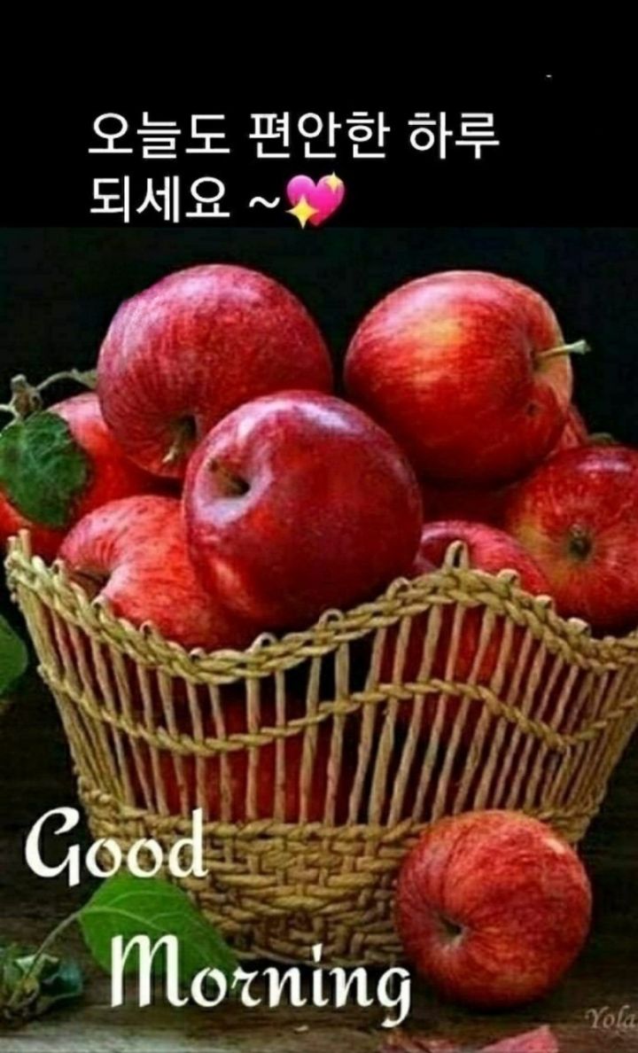 빵심이네 이미지