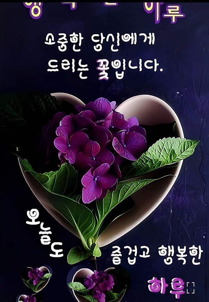 시샘 이미지