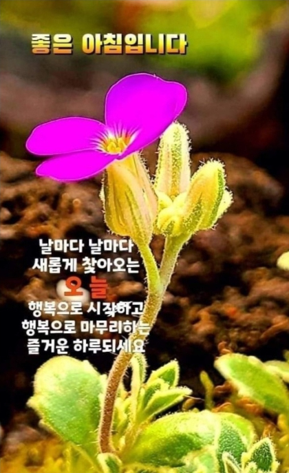 소중한 당신에게 이미지