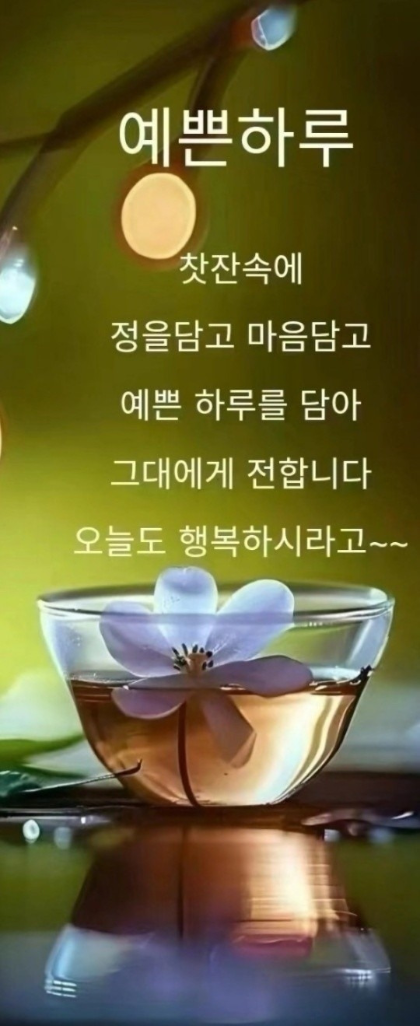 인생 더 예쁜날 이미지