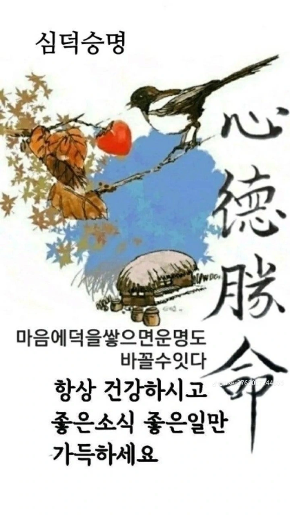 녁 이미지